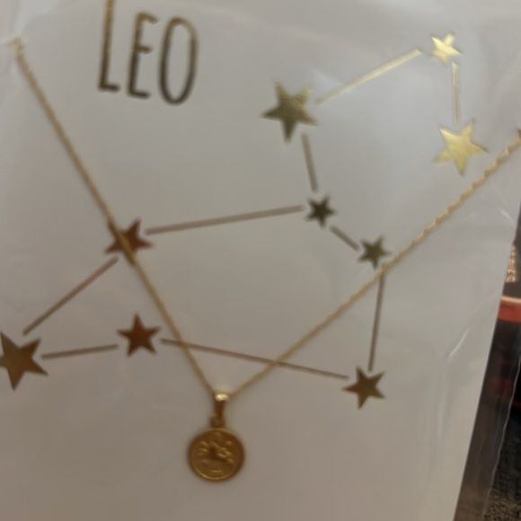 Tiny Zodiac Coin Necklace - Picture 11 of 11